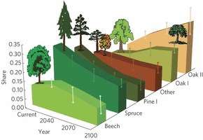 ADAPTAČNÍ OPATŘENÍ = NUTNOST Potenciální rozšíření hlavních dřevin v