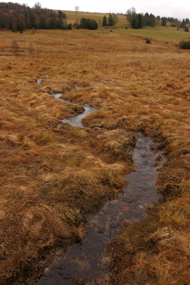 Revitalizace - základní přístup znovuzavodnění mokřadů od horních částí povodí celé hydrologické jednotky stanovené priority KONCEPT CÍLOVÉ HLADINY VODY Cíle: 1. zvýšení hladiny podzemní vody 2.