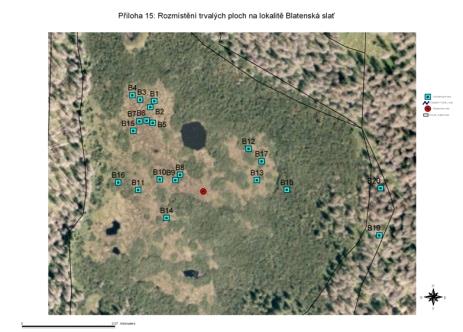 Monitoring úspěšnosti revitalizací kontrolní trvalé plochy (98) s umístěnými sondami pro sledování hladiny podzemní vody - sledované parametry: odvodněná - hladina podzemní vody - odtokové poměry -