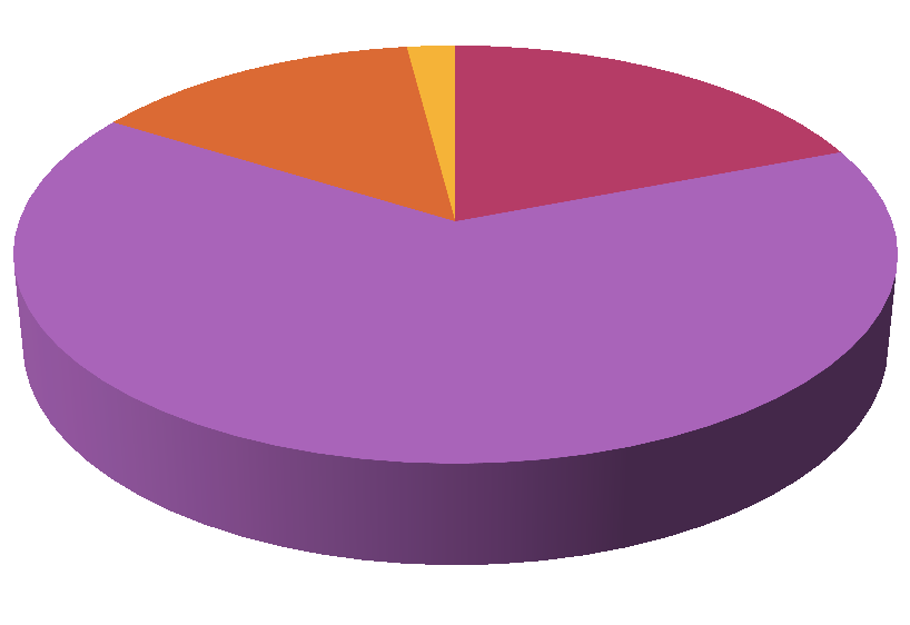 Většina obyvatel považuje životní úroveň svojí domácnosti za spíše dobrou (62,8%), což je asi o 7% méně než v roce 2012.