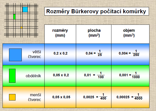 Úkoly: Uveďte, jak jste postupovali při počítání buněk v Bürkerově komůrce i s dílčími výpočty, zapište výsledek c) Nativní preparát buněk bukální sliznice Materiál a pomůcky: Podložní a krycí