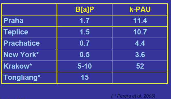 Expozice B(a)P a k-pau (ng/m 3 ) celkem R.J.