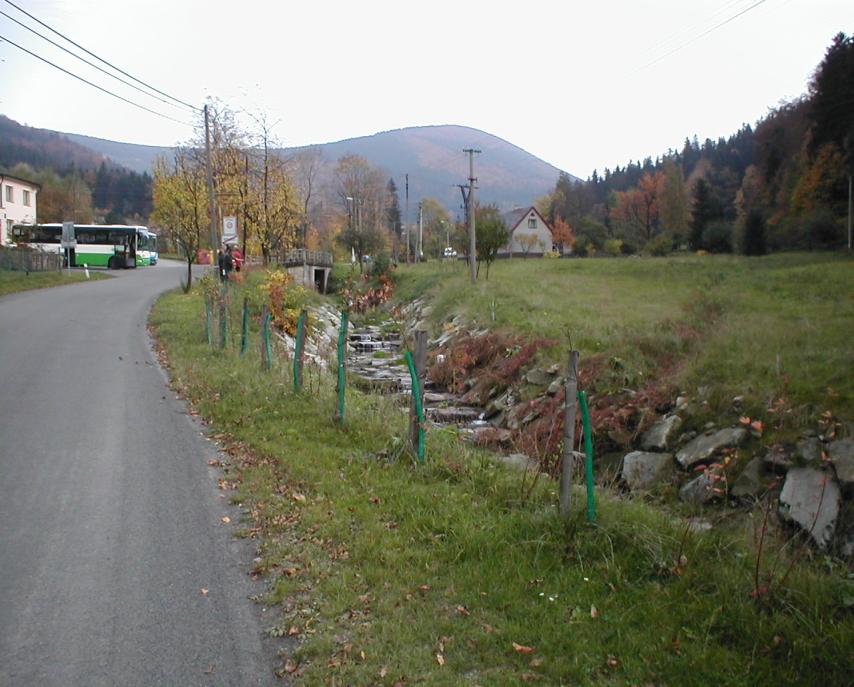 Nezastíněné, eutrofizované potoční koryto zarůstá buření Nedostatečná