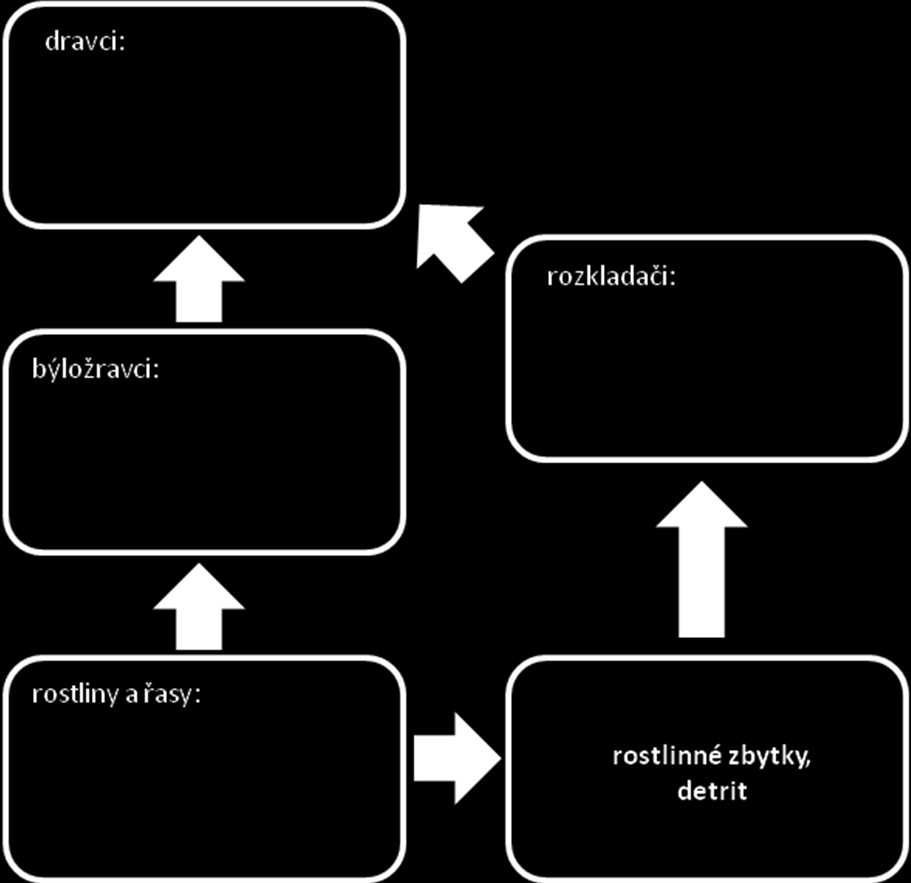 Zjednodušený diagram potravních vztahů v nádrži.