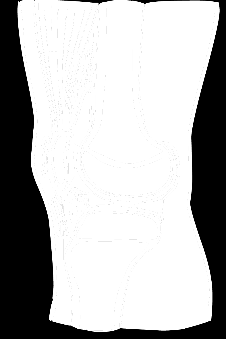 4. Capsula articularis Kloubní pouzdro 1 Membrana fibrosa / stratum fibrosum 2 Membrana