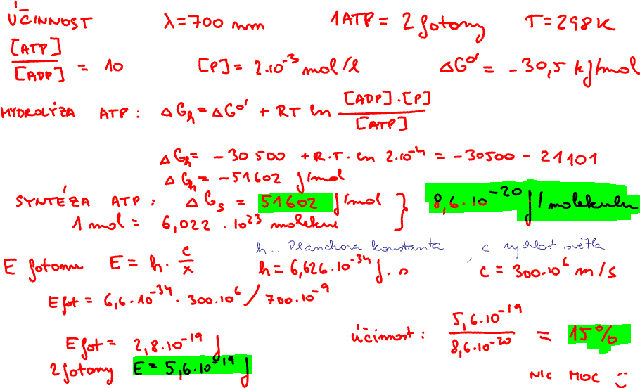 Vypočítejte účinnost fotosyntetického přenosu energie při 25 C, je-li molekula ATP syntetizována s využitím dvou fotonů o vlnové