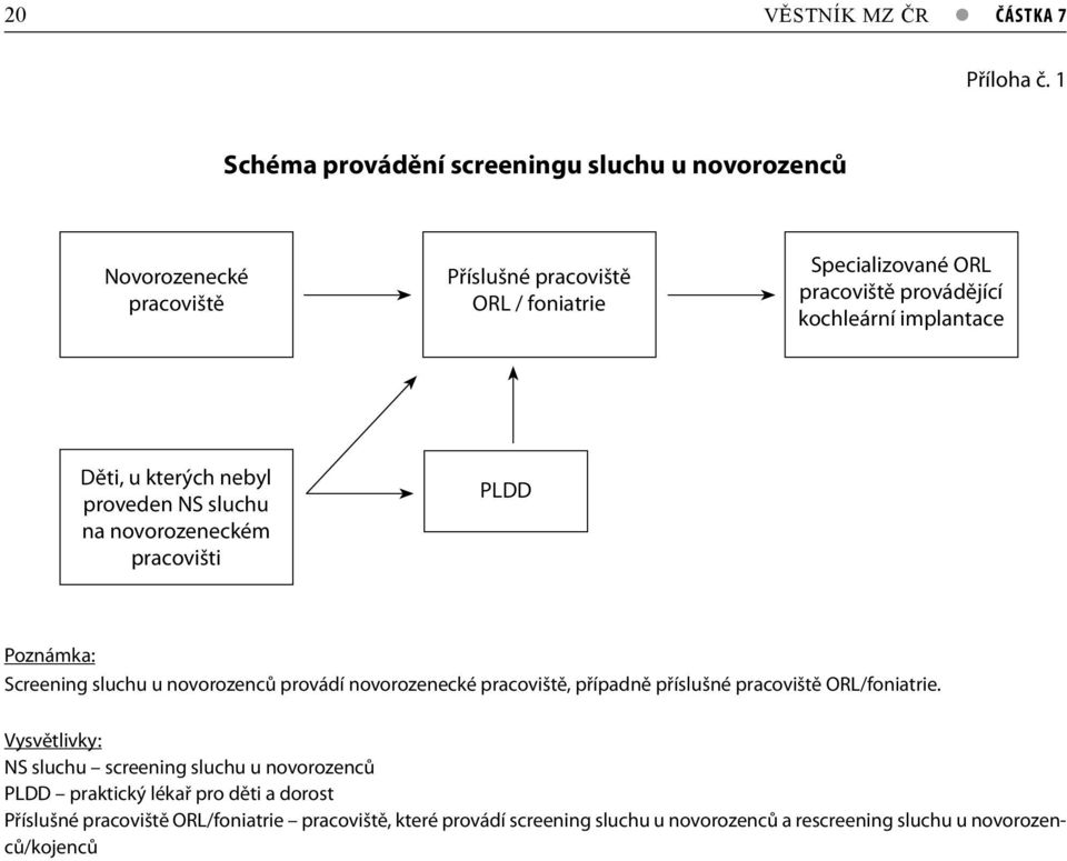 kochleární implantace Děti, u kterých nebyl proveden NS sluchu na novorozeneckém pracovišti PLDD Poznámka: Screening sluchu u novorozenců provádí