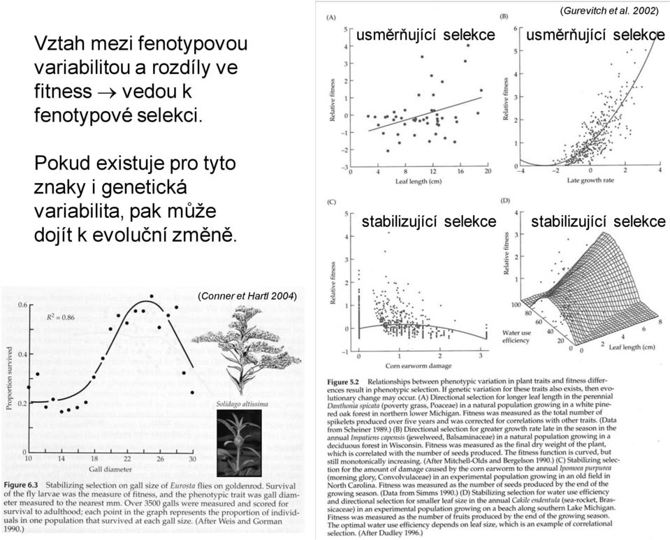 Pokud existuje pro tyto znaky i genetická variabilita, pak může dojít k