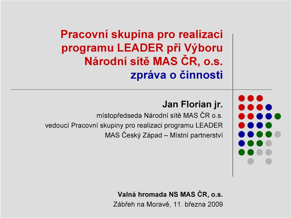 místopředseda Národní sítě MAS ČR o.s. vedoucí Pracovní skupiny pro realizaci