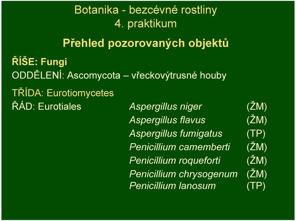 houby TŘÍDA: Eurotiomycetes ŘÁD: Eurotiales Aspergillus niger (ŽM) Aspergillus flavus