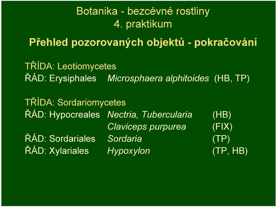 Erysiphales Microsphaera alphitoides (HB, TP) TŘÍDA: Sordariomycetes ŘÁD: