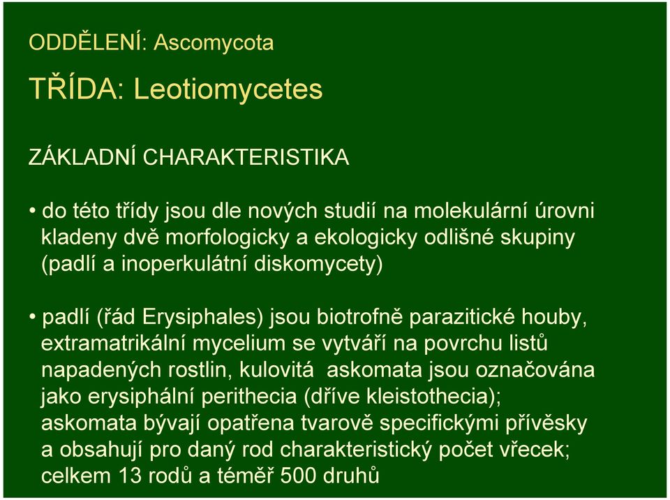 extramatrikální mycelium se vytváří na povrchu listů napadených rostlin, kulovitá askomata jsou označována jako erysiphální perithecia (dříve