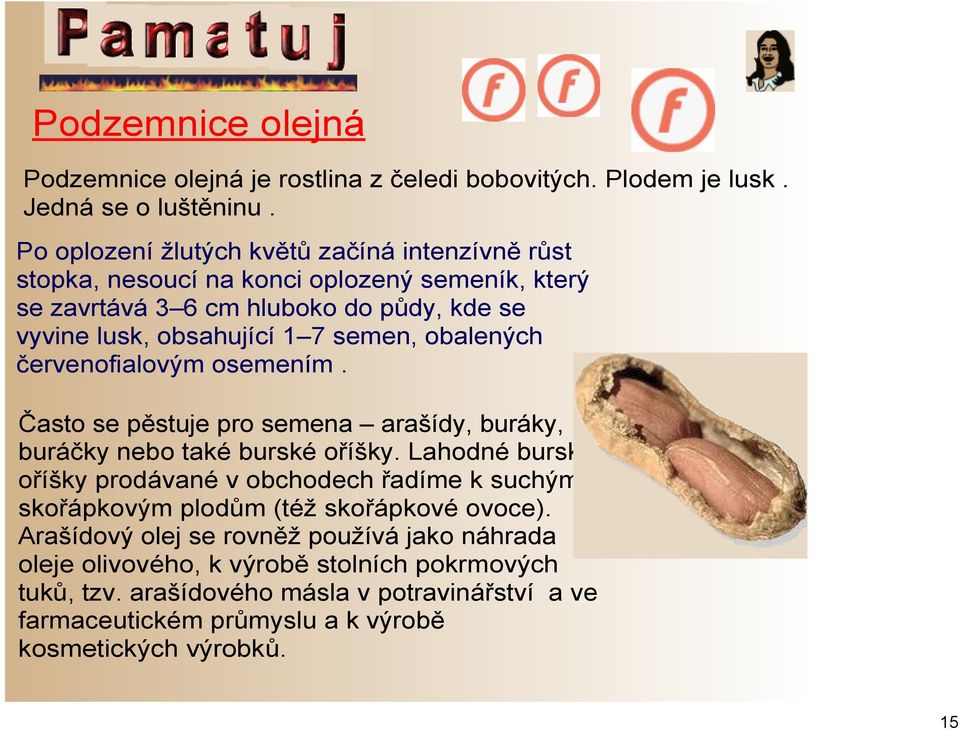 obalených červenofialovým osemením. Často se pěstuje pro semena arašídy, buráky, buráčky nebo také burské oříšky.