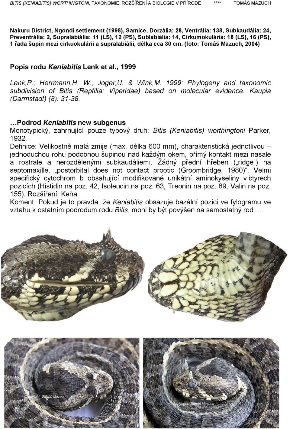 1999: Phylogeny and taxonomic subdivision of Bitis (Reptilia: Viperidae) based on molecular evidence. Kaupia (Darmstadt) (8): 31-38.