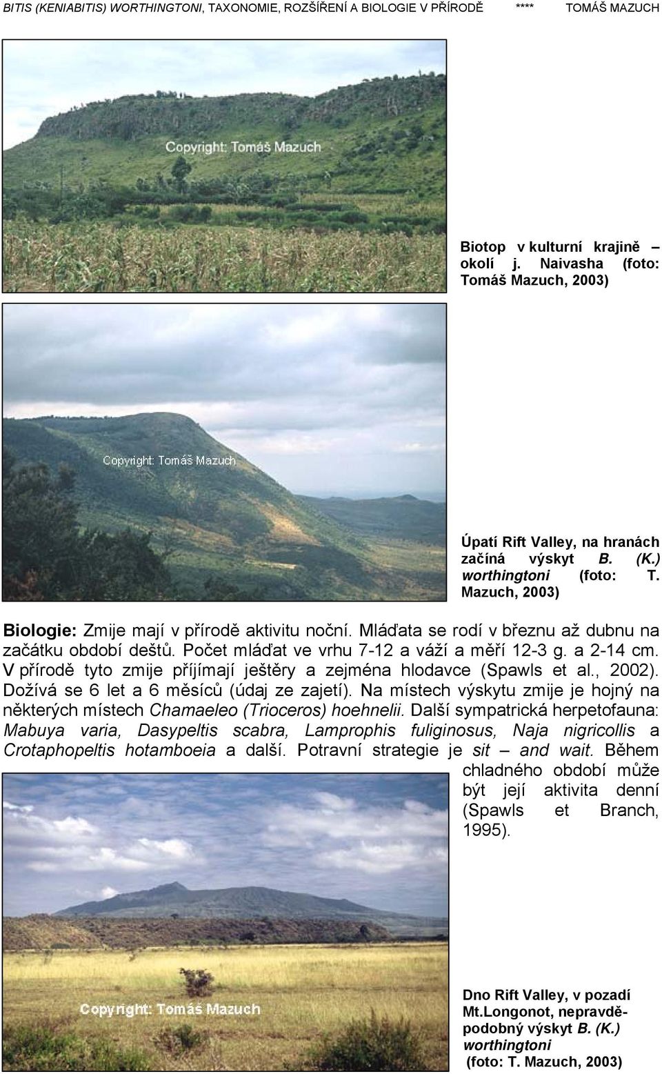 V přírodě tyto zmije příjímají ještěry a zejména hlodavce (Spawls et al., 2002). Dožívá se 6 let a 6 měsíců (údaj ze zajetí).