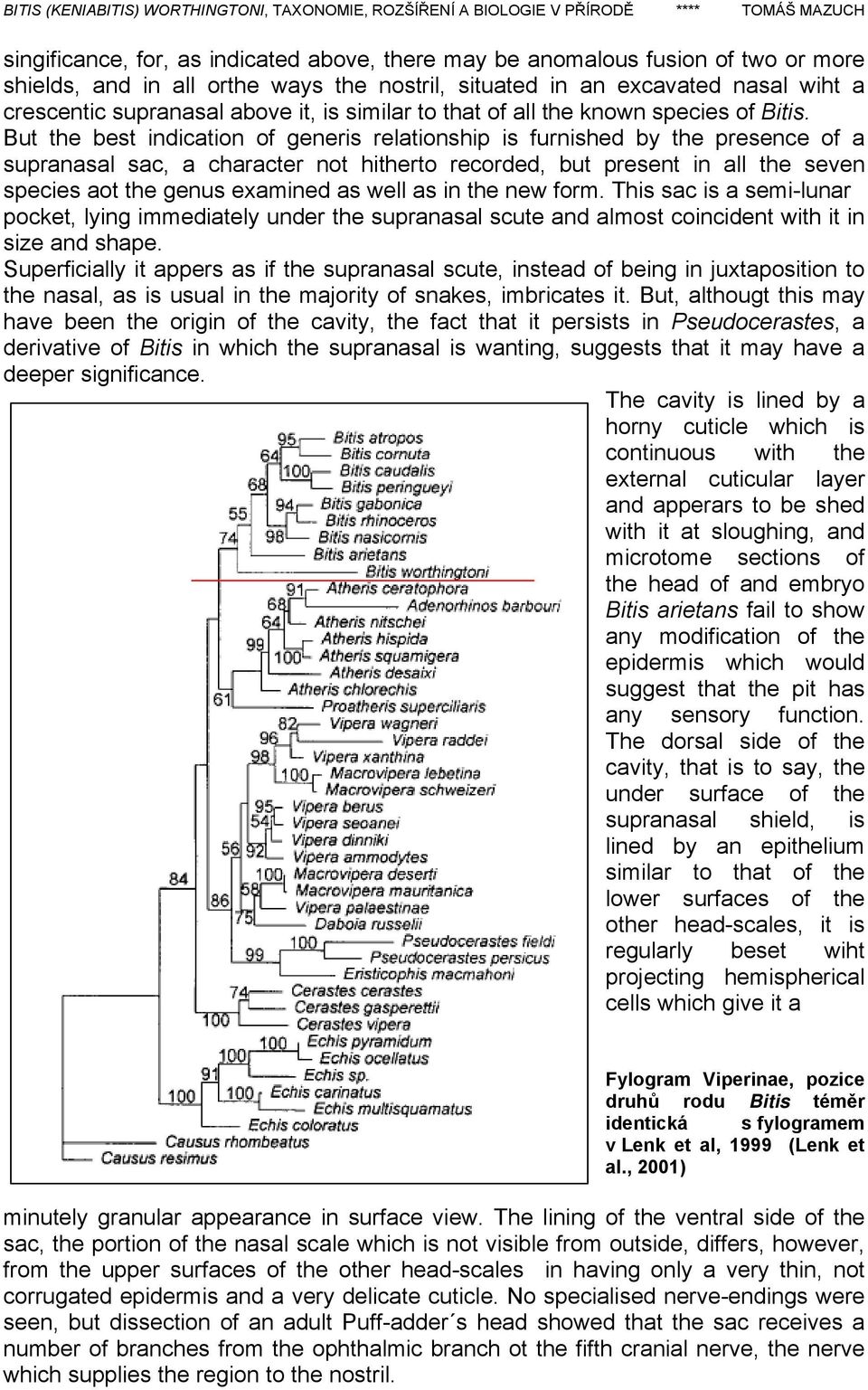 But the best indication of generis relationship is furnished by the presence of a supranasal sac, a character not hitherto recorded, but present in all the seven species aot the genus examined as