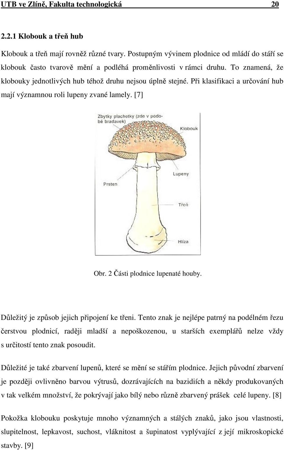 Při klasifikaci a určování hub mají významnou roli lupeny zvané lamely. [7] Obr. 2 Části plodnice lupenaté houby. Důležitý je způsob jejich připojení ke třeni.