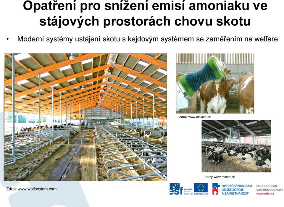 se zaměřením na welfare Zdroj: www.alexind.