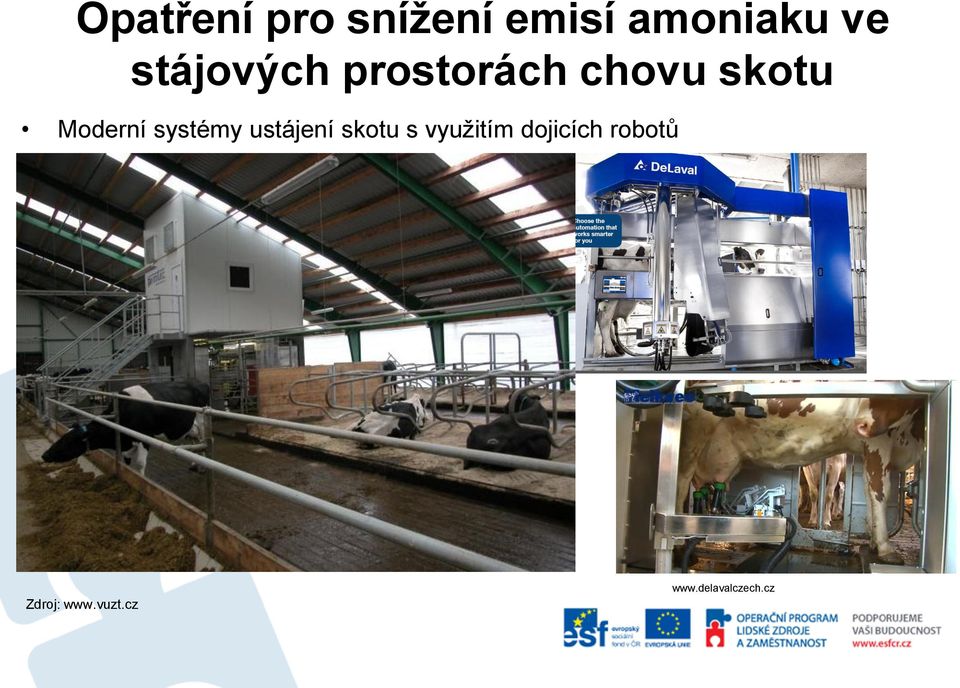 využitím dojicích robotů Zdroj: