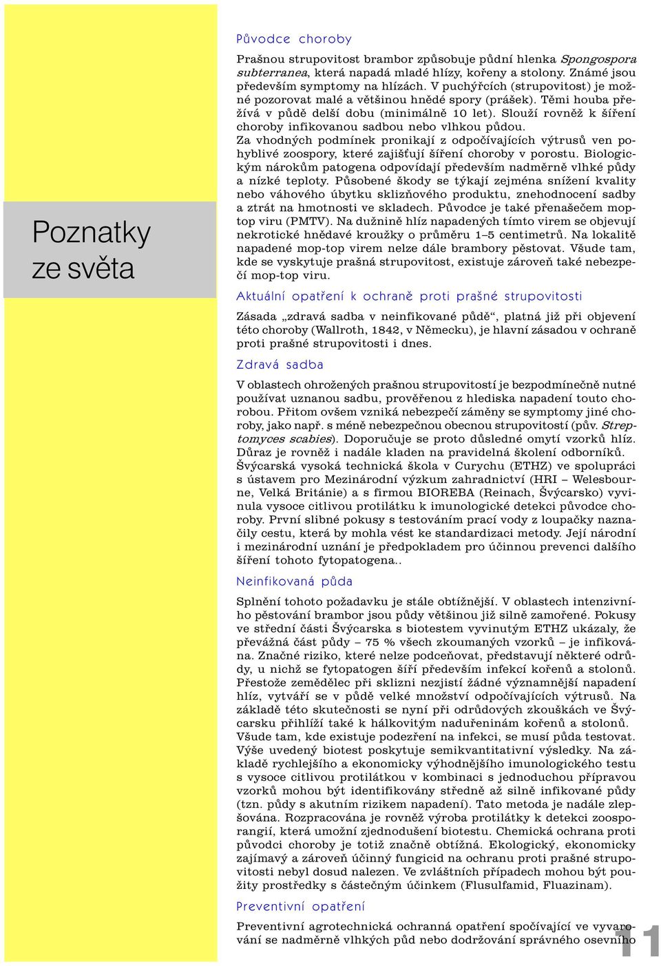 Slouží rovnìž k šíøení choroby infikovanou sadbou nebo vlhkou pùdou. Za vhodných podmínek pronikají z odpoèívajících výtrusù ven pohyblivé zoospory, které zajiš ují šíøení choroby v porostu.