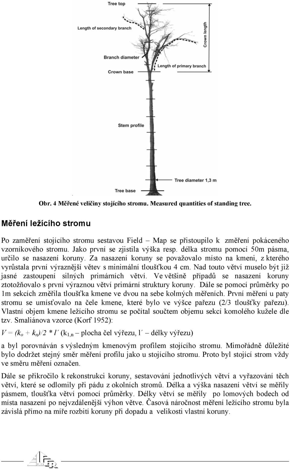 délka stromu pomocí 50m pásma, určilo se nasazení koruny. Za nasazení koruny se považovalo místo na kmeni, z kterého vyrůstala první výraznější větev s minimální tloušťkou 4 cm.