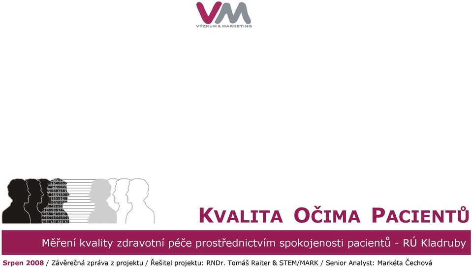 2008 / Závěrečná zpráva z projektu / Řešitel projektu: