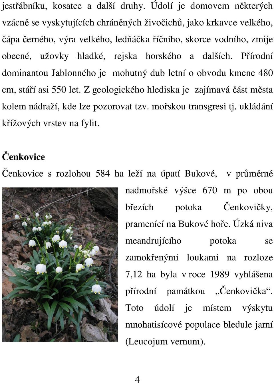 horského a dalších. Přírodní dominantou Jablonného je mohutný dub letní o obvodu kmene 480 cm, stáří asi 550 let. Z geologického hlediska je zajímavá část města kolem nádraží, kde lze pozorovat tzv.