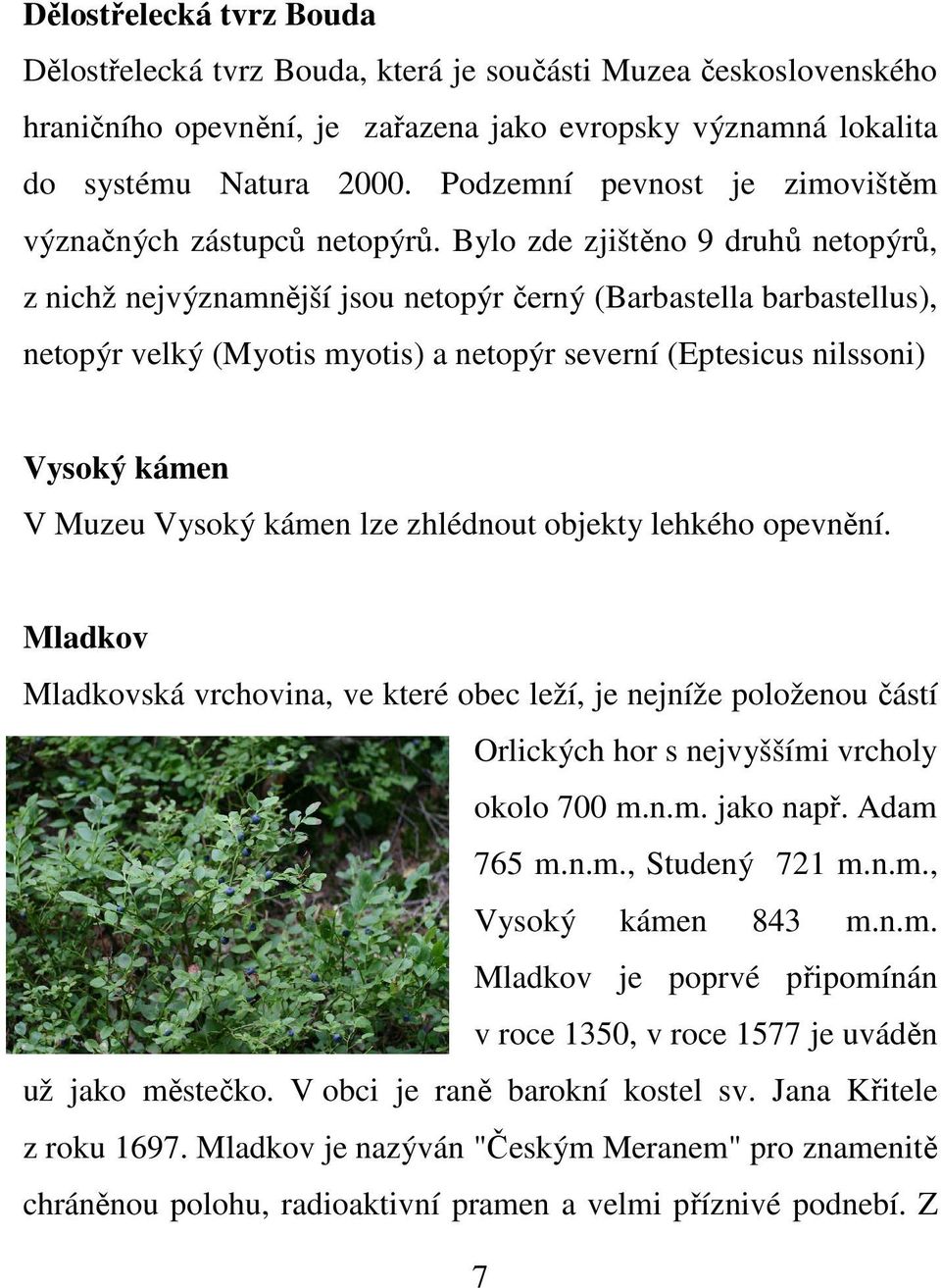 Bylo zde zjištěno 9 druhů netopýrů, z nichž nejvýznamnější jsou netopýr černý (Barbastella barbastellus), netopýr velký (Myotis myotis) a netopýr severní (Eptesicus nilssoni) Vysoký kámen V Muzeu