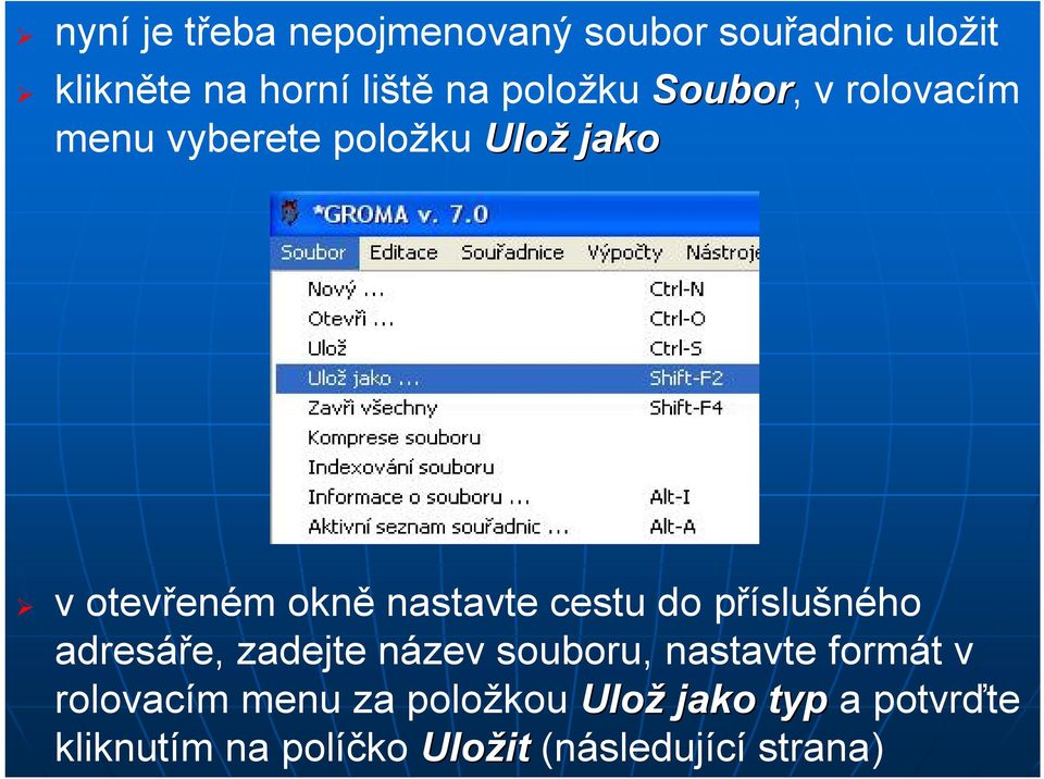 nastavte cestu do příslušného adresáře, zadejte název souboru, nastavte formát v