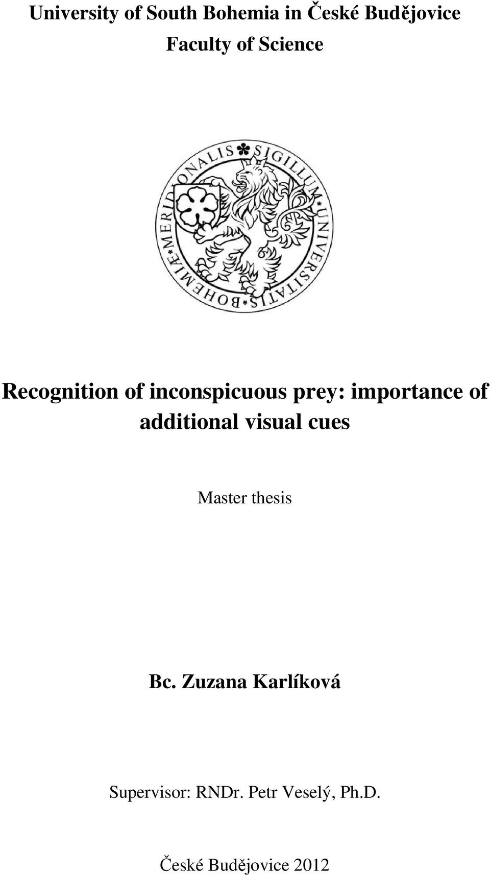 of additional visual cues Master thesis Bc.