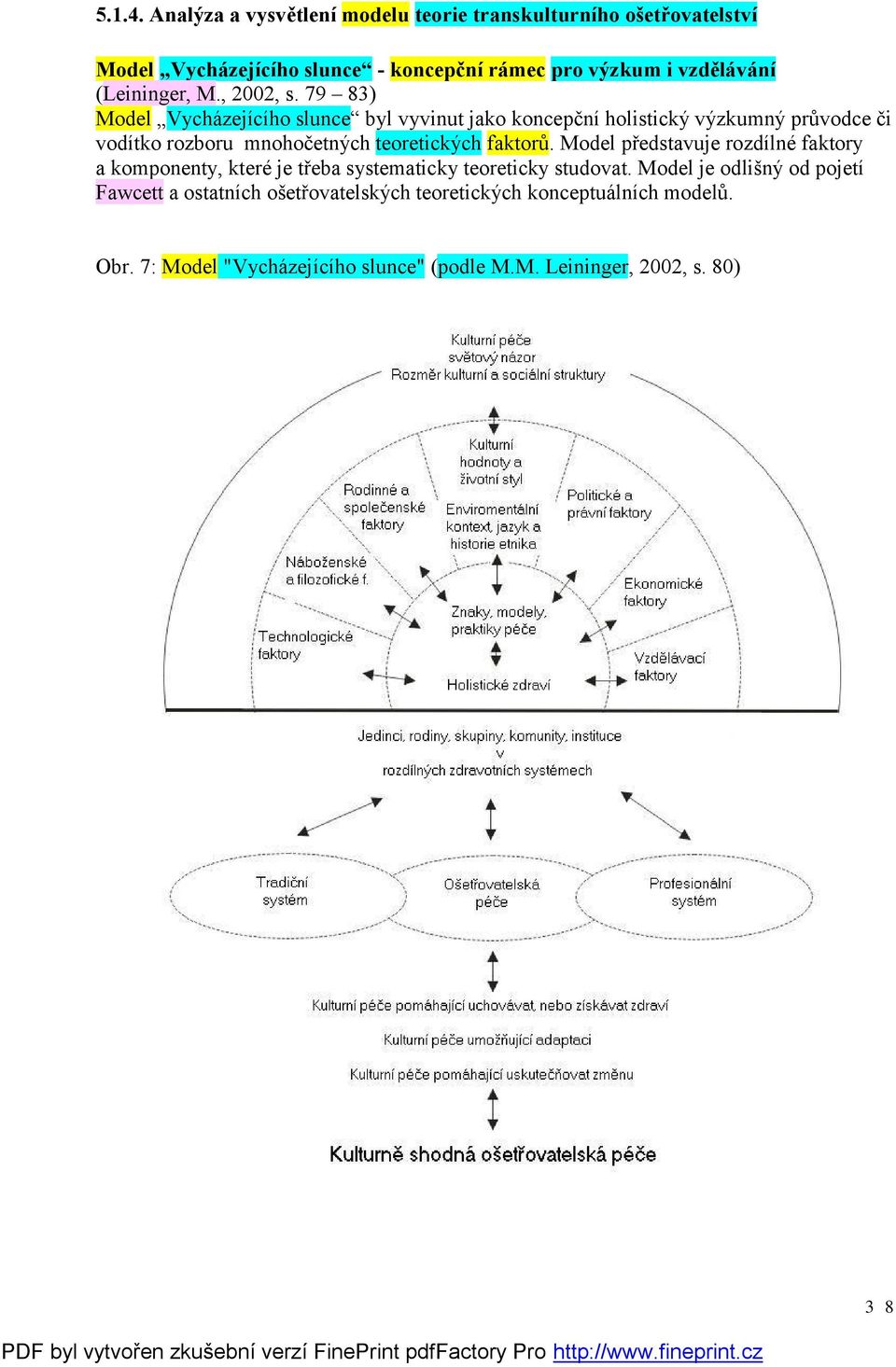 (Leininger, M., 2002, s.