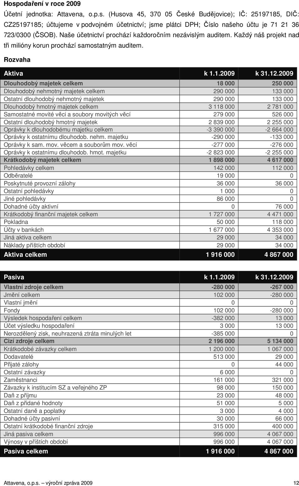 2009 Dlouhodobý majetek celkem 18 000 250 000 Dlouhodobý nehmotný majetek celkem 290 000 133 000 Ostatní dlouhodobý nehmotný majetek 290 000 133 000 Dlouhodobý hmotný majetek celkem 3 118 000 2 781