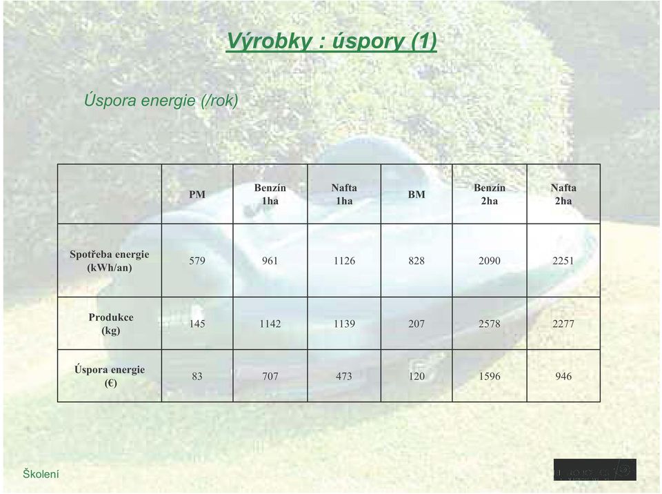 (kwh/an) 579 961 1126 828 2090 2251 Produkce (kg) 145