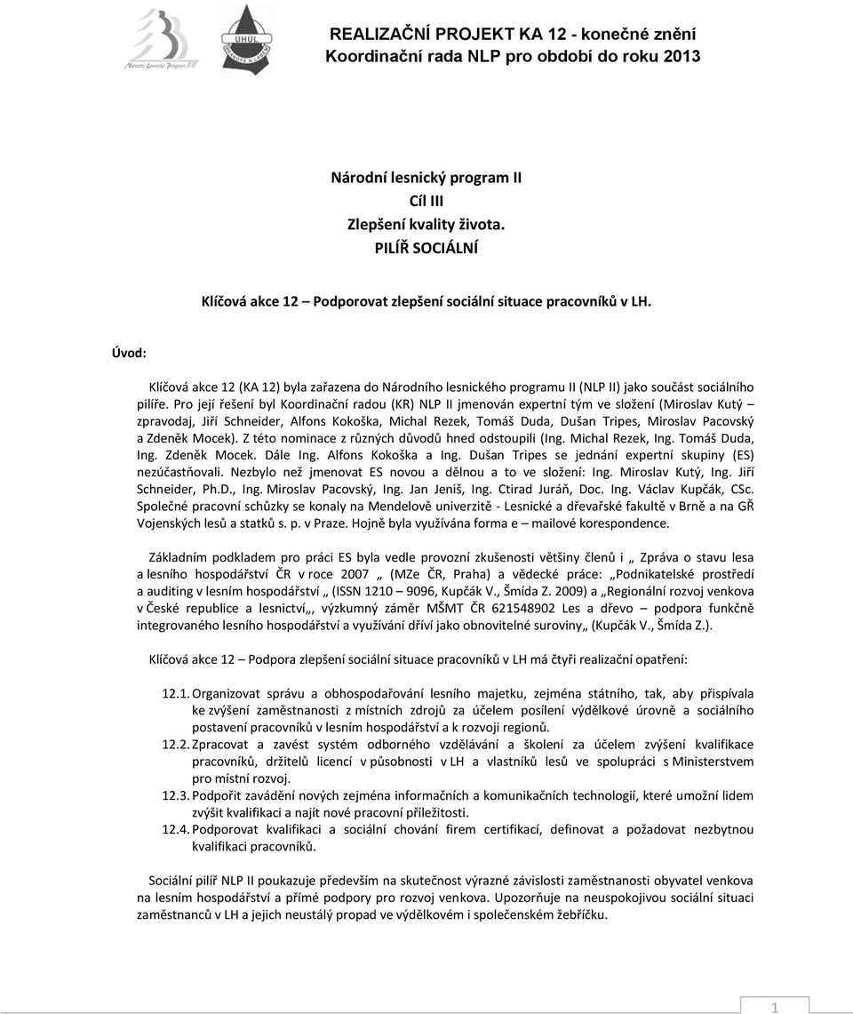 Pro její řešení byl Koordinační radou (KR) NLP II jmenován expertní tým ve složení (Miroslav Kutý zpravodaj, Jiří Schneider, Alfons Kokoška, Michal Rezek, Tomáš Duda, Dušan Tripes, Miroslav Pacovský