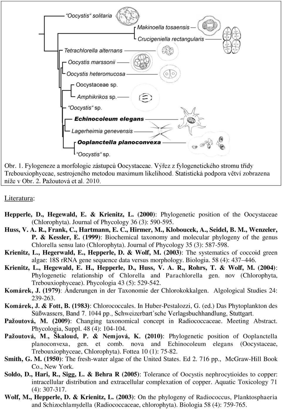 , Frank, C., Hartmann, E. C., Hirmer, M., Kloboucek, A., Seidel, B. M., Wenzeler, P. & Kessler, E. (1999): Biochemical taxonomy and molecular phylogeny of the genus Chlorella sensu lato (Chlorophyta).