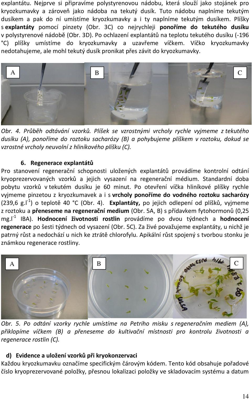 3C) co nejrychleji ponoříme do tekutého dusíku v polystyrenové nádobě (Obr. 3D). Po ochlazení explantátů na teplotu tekutého dusíku (-196 C) plíšky umístíme do kryozkumavky a uzavřeme víčkem.