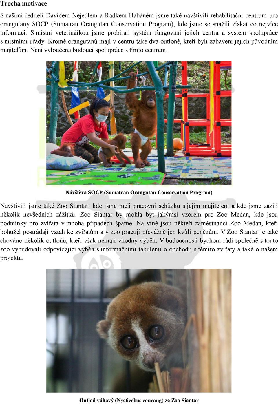 Kromě orangutanů mají v centru také dva outloně, kteří byli zabaveni jejich původním majitelům. Není vyloučena budoucí spolupráce s tímto centrem.