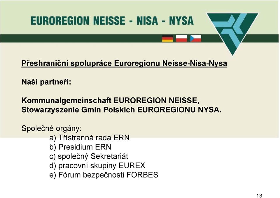 EUROREGIONU NYSA.