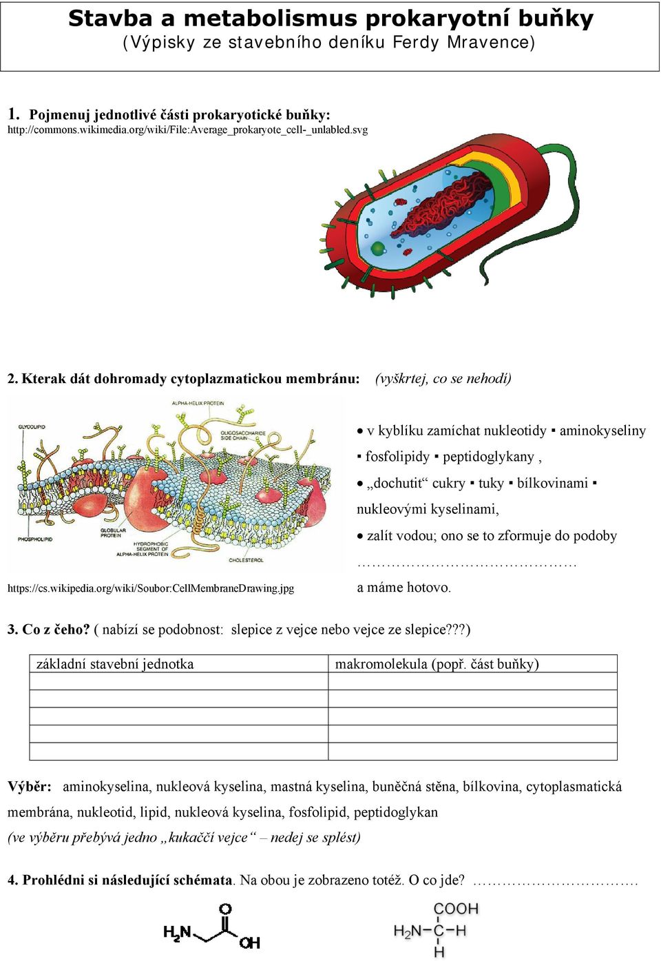 jpg v kyblíku zamíchat nukleotidy aminokyseliny fosfolipidy peptidoglykany, dochutit cukry tuky bílkovinami nukleovými kyselinami, zalít vodou; ono se to zformuje do podoby a máme hotovo. 3.