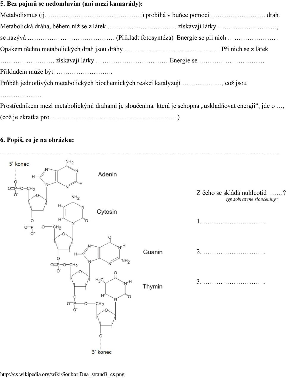 . Průběh jednotlivých metabolických biochemických reakcí katalyzují, což jsou.