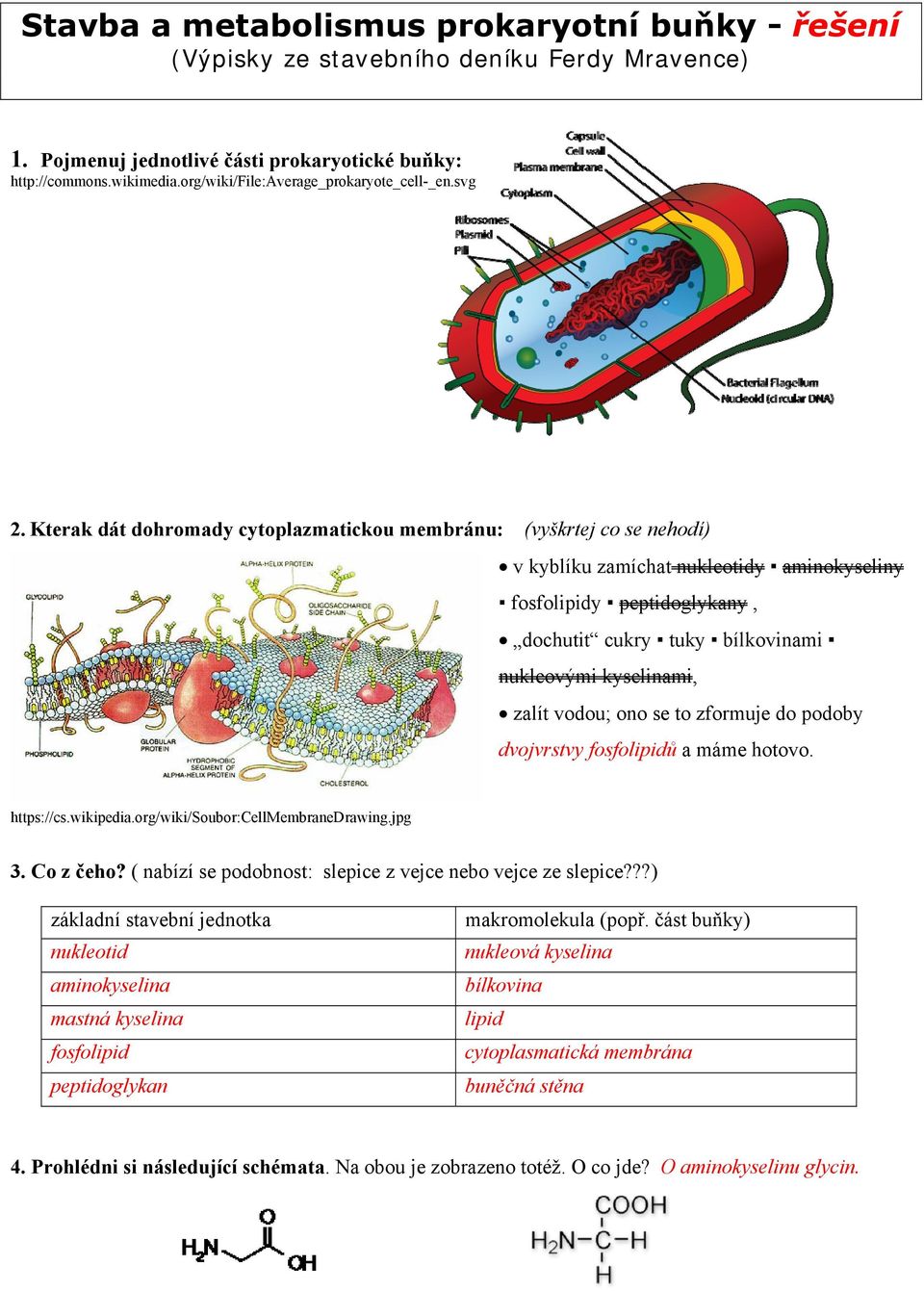 Kterak dát dohromady cytoplazmatickou membránu: (vyškrtej co se nehodí) v kyblíku zamíchat nukleotidy aminokyseliny fosfolipidy peptidoglykany, dochutit cukry tuky bílkovinami nukleovými kyselinami,