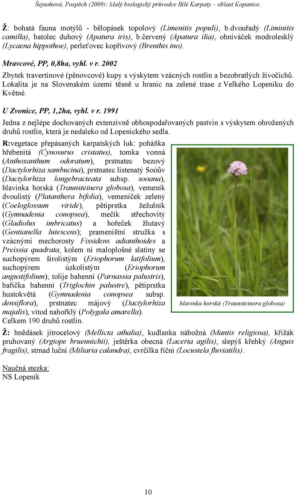 2002 Zbytek travertinové (pěnovcové) kupy s výskytem vzácných rostlin a bezobratlých živočichů. Lokalita je na Slovenském území těsně u hranic na zelené trase z Velkého Lopeníku do Květné.