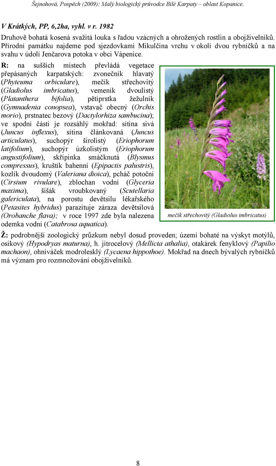 R: na sušších místech převládá vegetace přepásaných karpatských: zvonečník hlavatý (Phyteuma orbiculare), mečík střechovitý (Gladiolus imbricatus), vemeník dvoulistý (Platanthera bifolia), pětiprstka