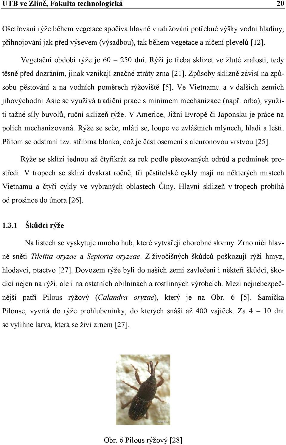 Způsoby sklizně závisí na způsobu pěstování a na vodních poměrech rýžoviště [5]. Ve Vietnamu a v dalších zemích jihovýchodní Asie se využívá tradiční práce s minimem mechanizace (např.