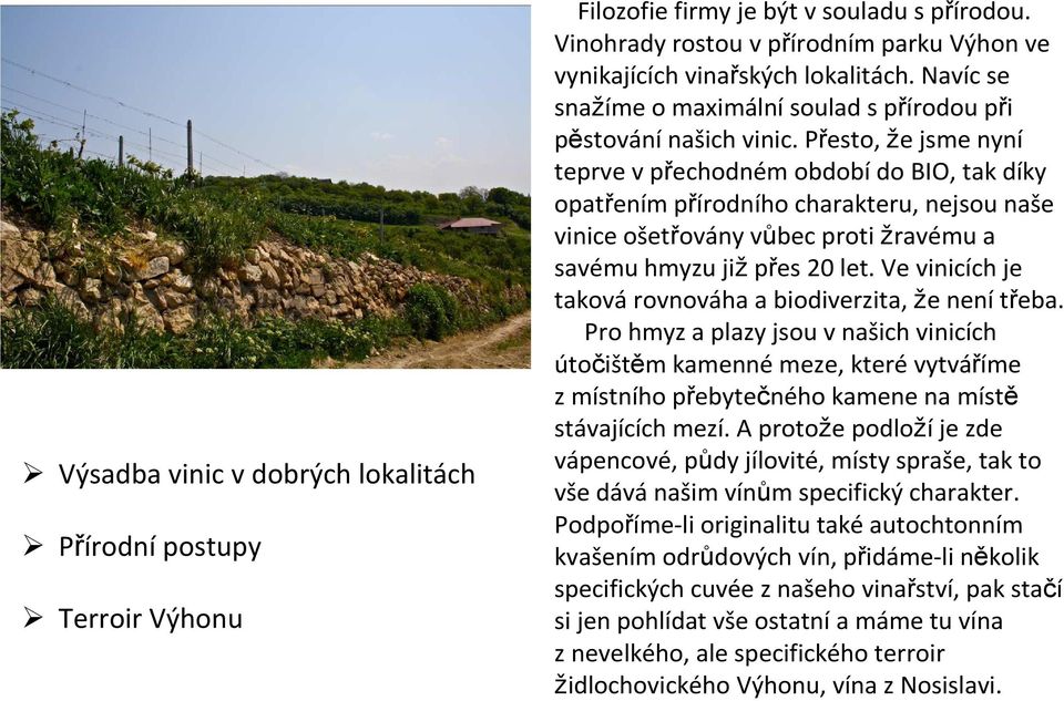 Přesto, že jsme nyní teprve vpřechodném obdobído BIO, tak díky opatřením přírodního charakteru, nejsou naše vinice ošetřovány vůbec proti žravému a savému hmyzu jižpřes 20 let.