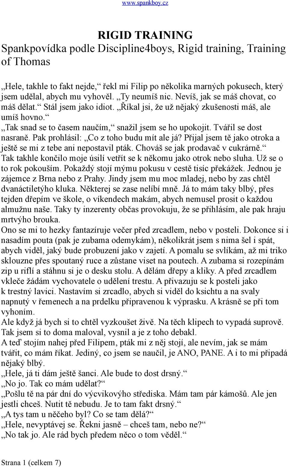 Ty neumíš nic. Nevíš, jak se máš chovat, co máš dělat. Stál jsem jako idiot. Říkal jsi, že už nějaký zkušenosti máš, ale umíš hovno. Tak snad se to časem naučím, snažil jsem se ho upokojit.