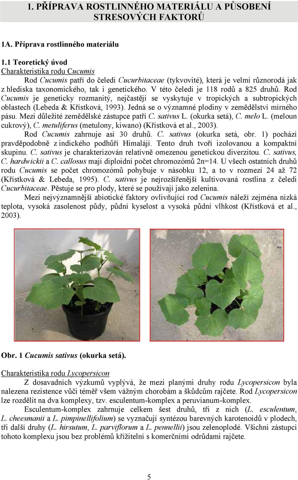 V této čeledi je 118 rodů a 825 druhů. Rod Cucumis je geneticky rozmanitý, nejčastěji se vyskytuje v tropických a subtropických oblastech (Lebeda & Křístková, 1993).