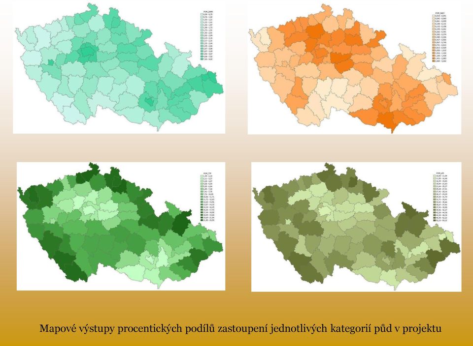 zastoupení