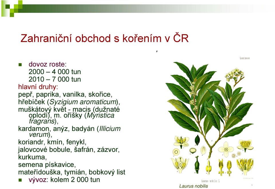 oříšky (Myristica fragrans), kardamon, anýz, badyán (Illicium verum), koriandr, kmín, fenykl, jalovcové