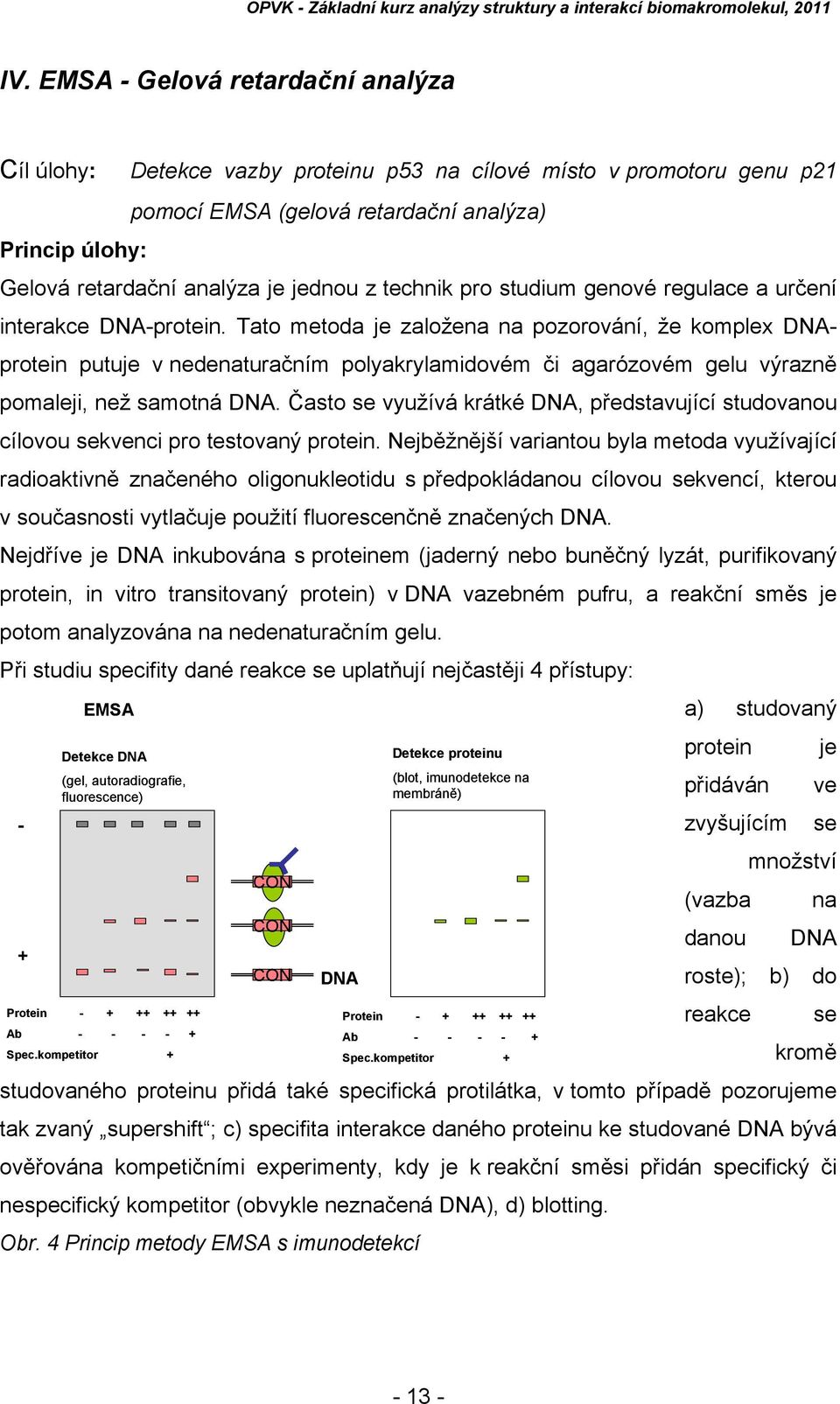 Tato metoda je založena na pozorování, že komplex DNAprotein putuje v nedenaturačním polyakrylamidovém či agarózovém gelu výrazně pomaleji, než samotná DNA.